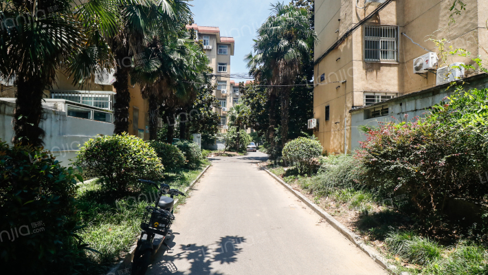 扬子十八村外景图