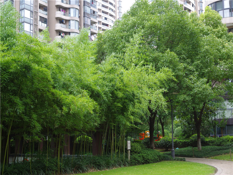 耀江文鼎苑 小区实景 33