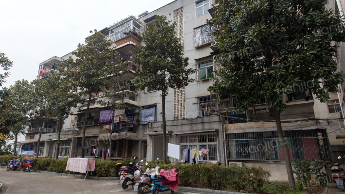 盐业公司宿舍外景图