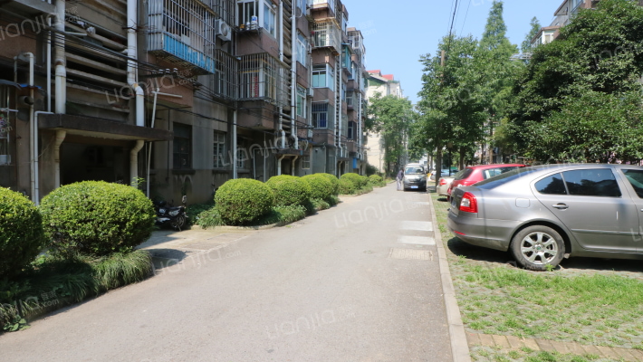 柳营100号外景图