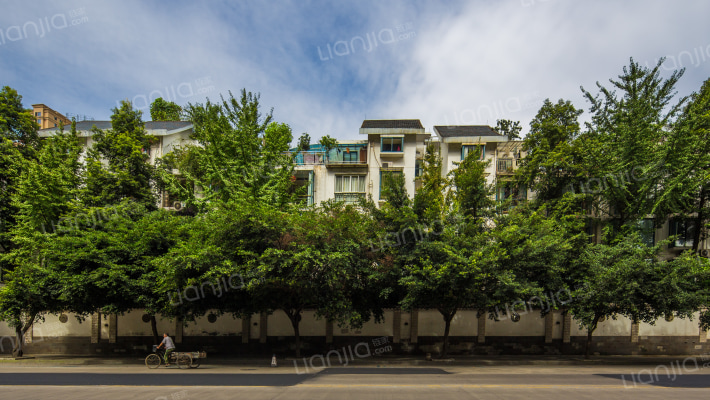 春语花间外景图