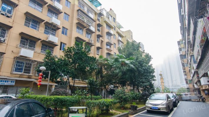 长征花园外景图