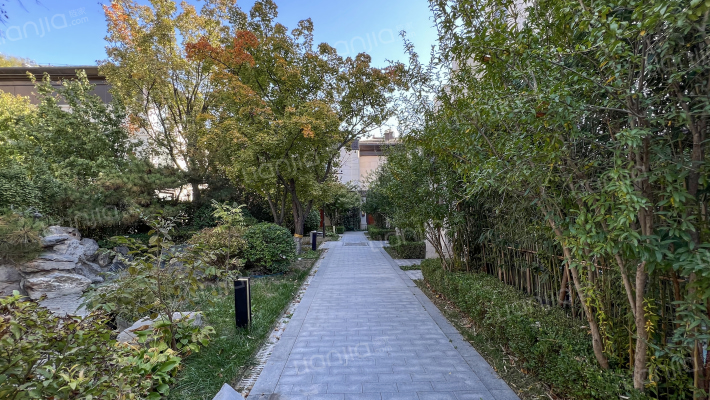 旭辉一合相外景图