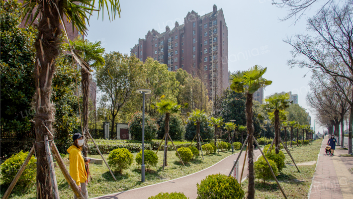 富力桃园C区外景图