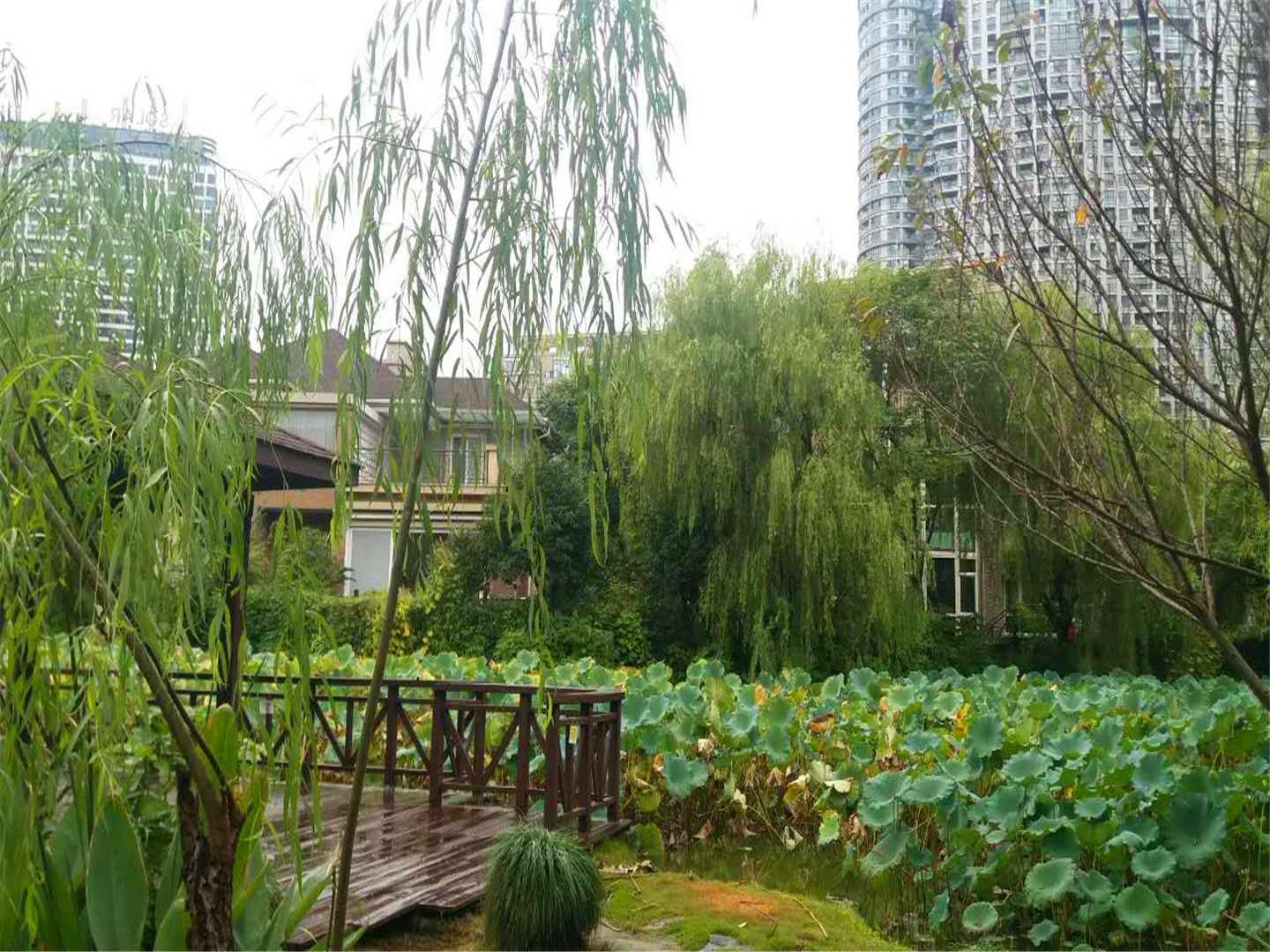 Guo Xin Jia Yuan compound photo 19