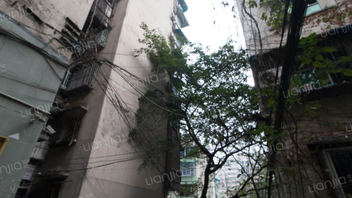 巴教村社区外景图