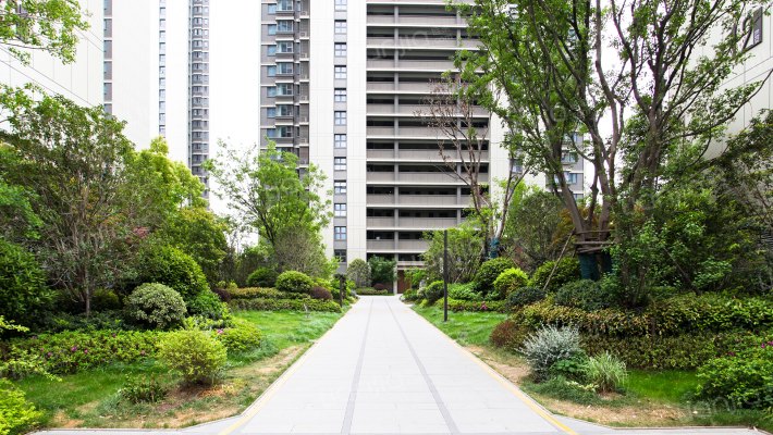 金地大成雅境外景图