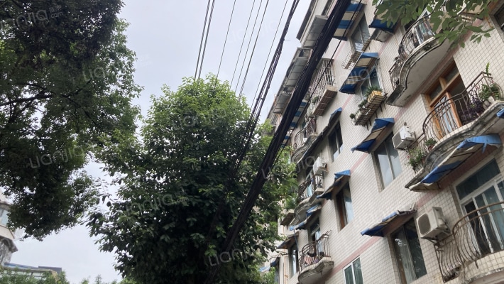 文明东街41号外景图