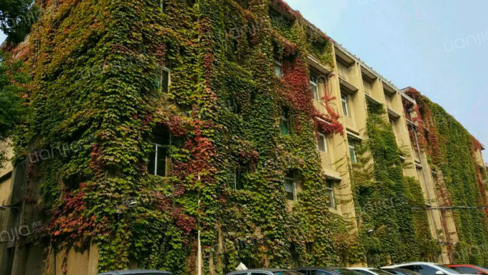 省建设厅大院外景图