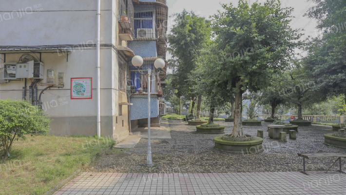 狮龙花园A区外景图