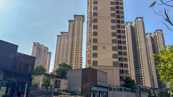 保利碧桂园悦公馆D区外景图