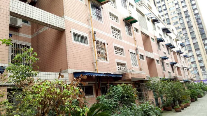 府青路东五街外景图