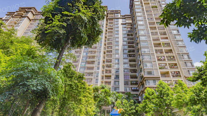 德威摩卡小镇外景图