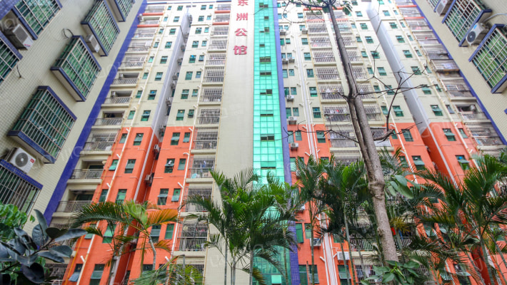 东洲花园外景图