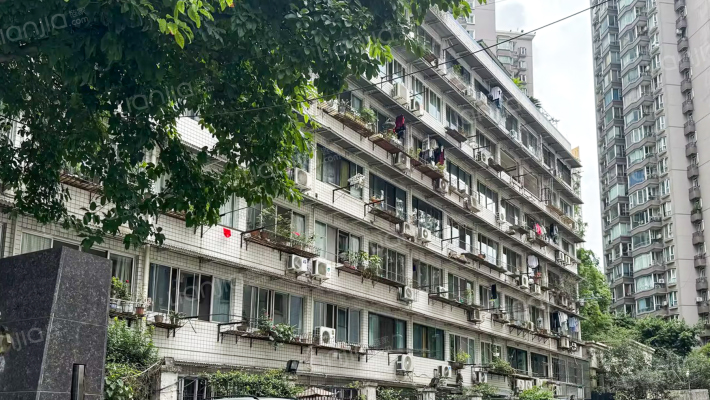 十五北街8号外景图