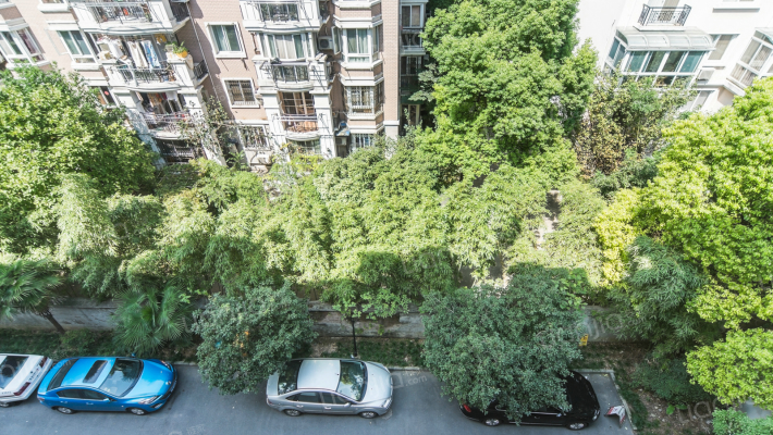 金都新城外景图