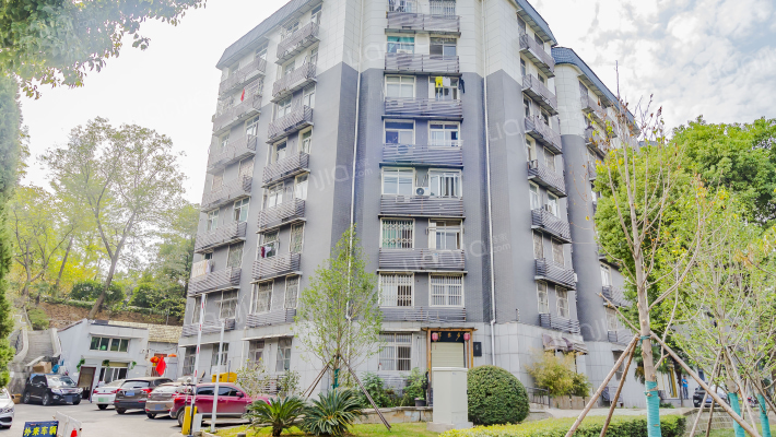 放鹰台1号外景图