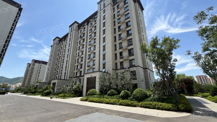 天一仁和·宸璟阅山外景图