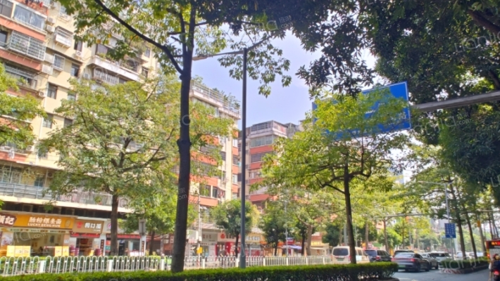 江南大道南外景图