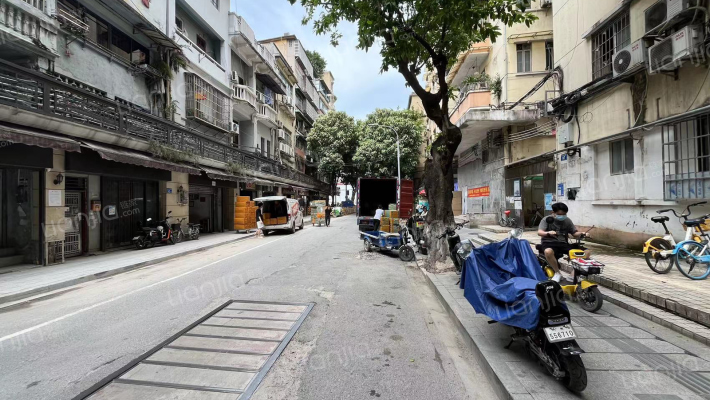 杉木栏路外景图