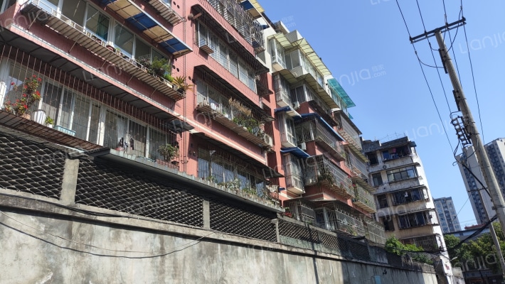 雄兴乐旭园外景图