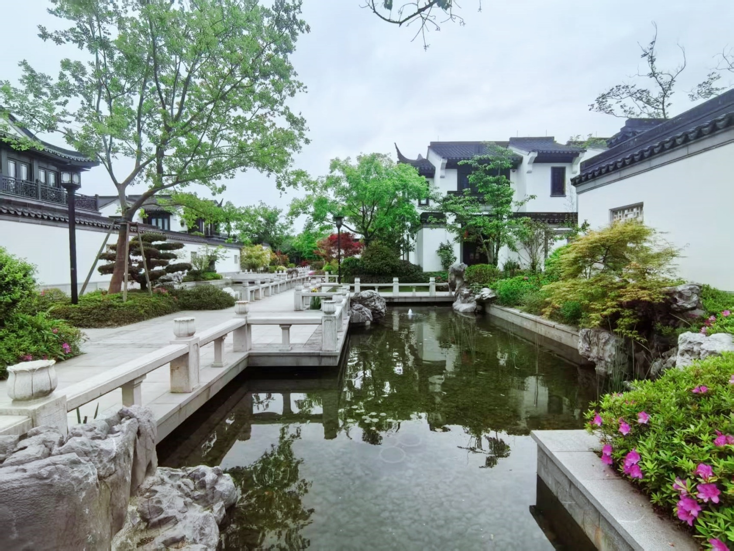 South Lake Moon  compound photo 23