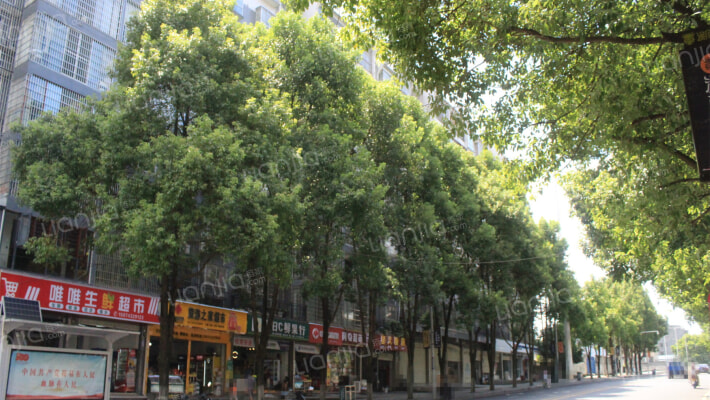 旅游之家外景图