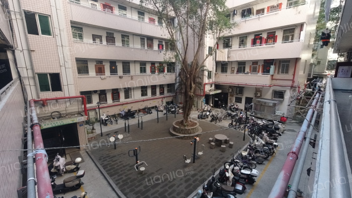 大金门花园外景图