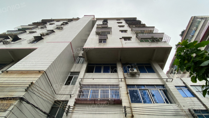 旧公路局单位楼外景图