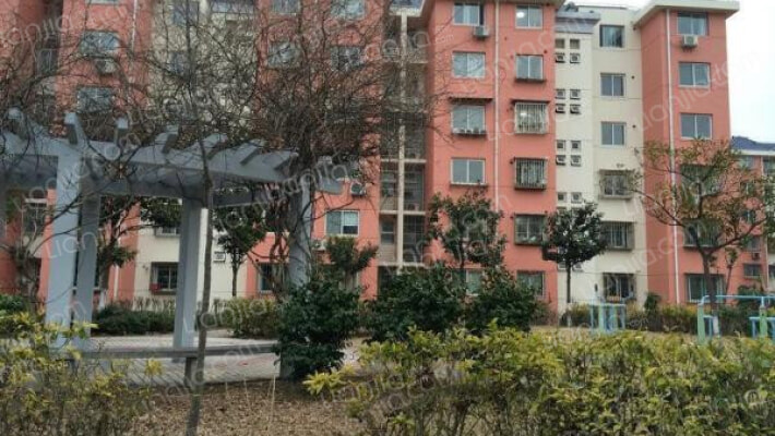 樱花路309弄外景图