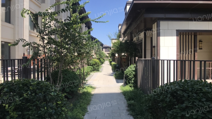 新城·樾府外景图