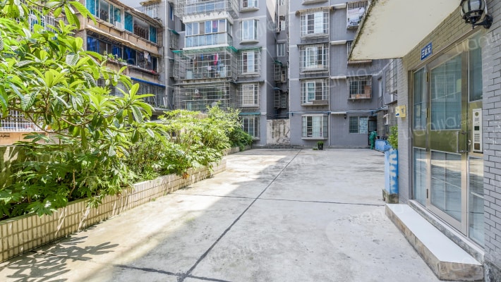 新苑小区外景图