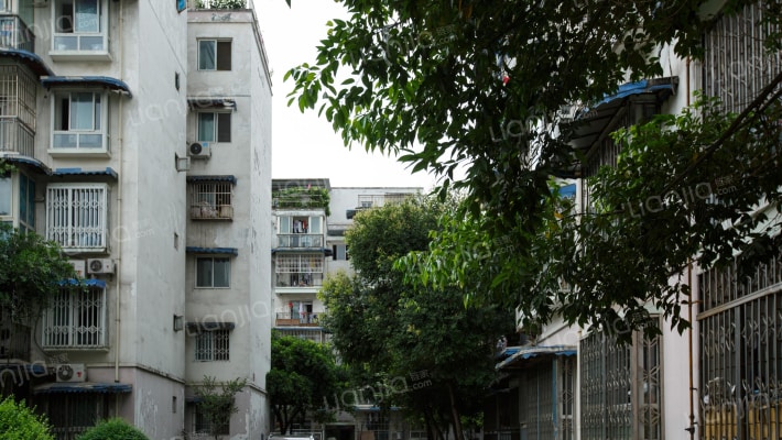 泉水人家三期A区外景图