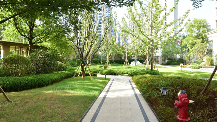 鲁能泰山7号三街区外景图