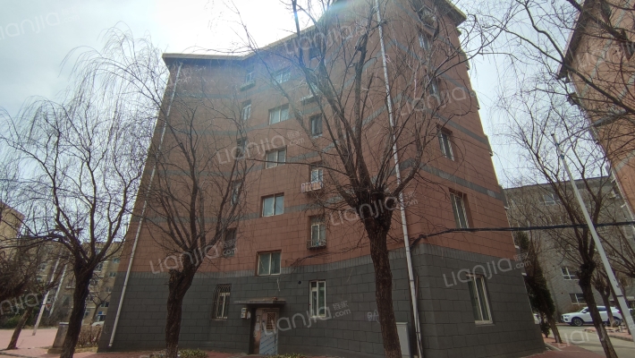 张前路辛寨子基地外景图