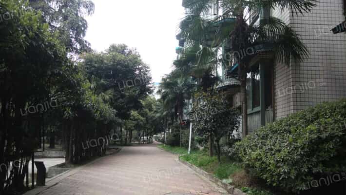 金色阳光外景图