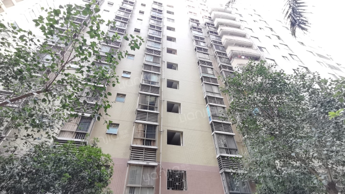 南湖明珠外景图