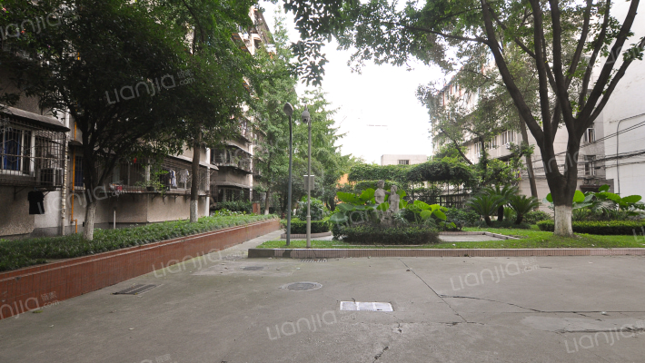 青华路8号外景图