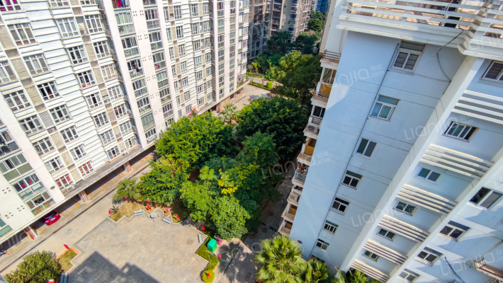 国税家苑外景图