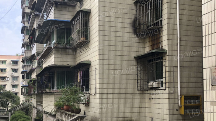 狮龙花园B区外景图