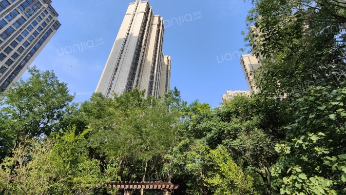 众美凤凰绿都三期外景图