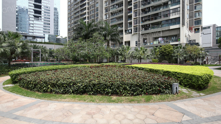 翡翠明珠花园房价怎么样 深圳翡翠明珠花园房源 户型图 小区车位 交通地址详情分析 翡翠明珠花园房价怎么样 深圳翡翠明珠花园房源 户型图 小区车位 交通地址详情分析