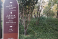 橡树湾三期户型图实景图