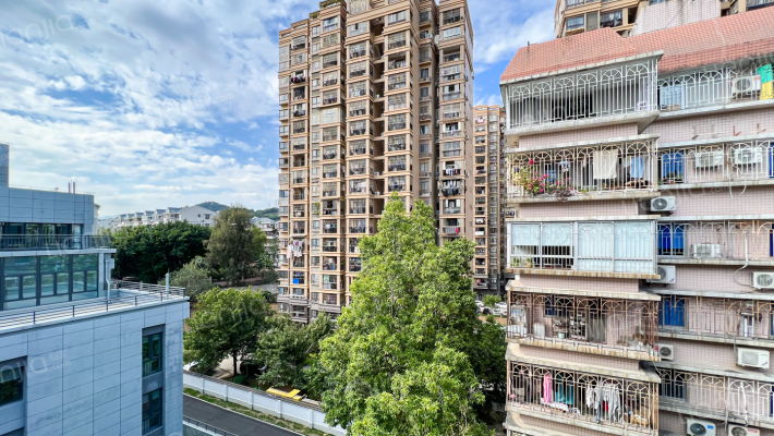 杨桥中路238号外景图