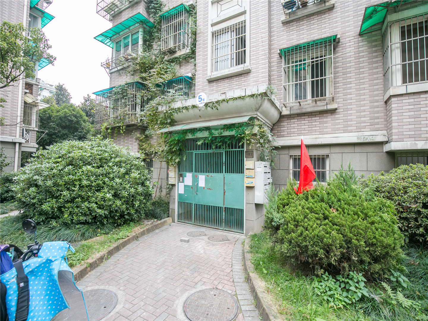 藕花苑小区实景 12