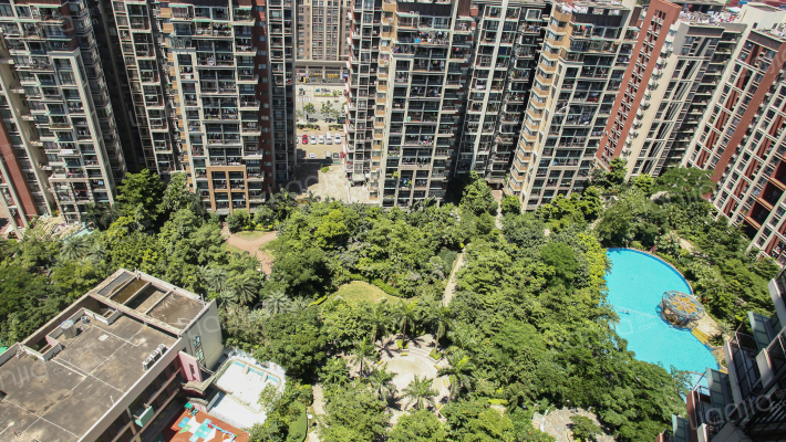 中海阳光玫瑰园外景图