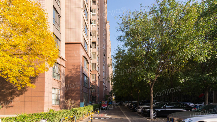 青秀雅苑外景图