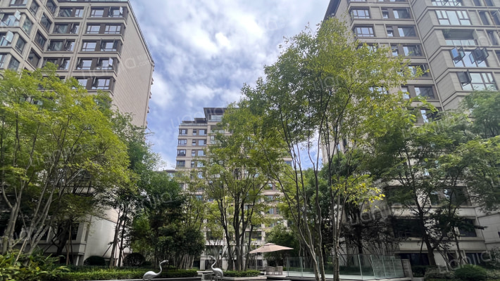 西派城D区外景图