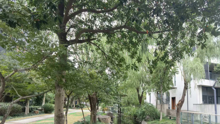 依云水岸外景图