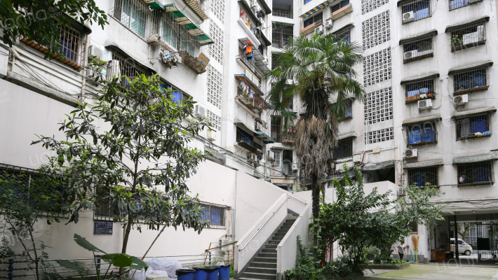 商业街6号外景图